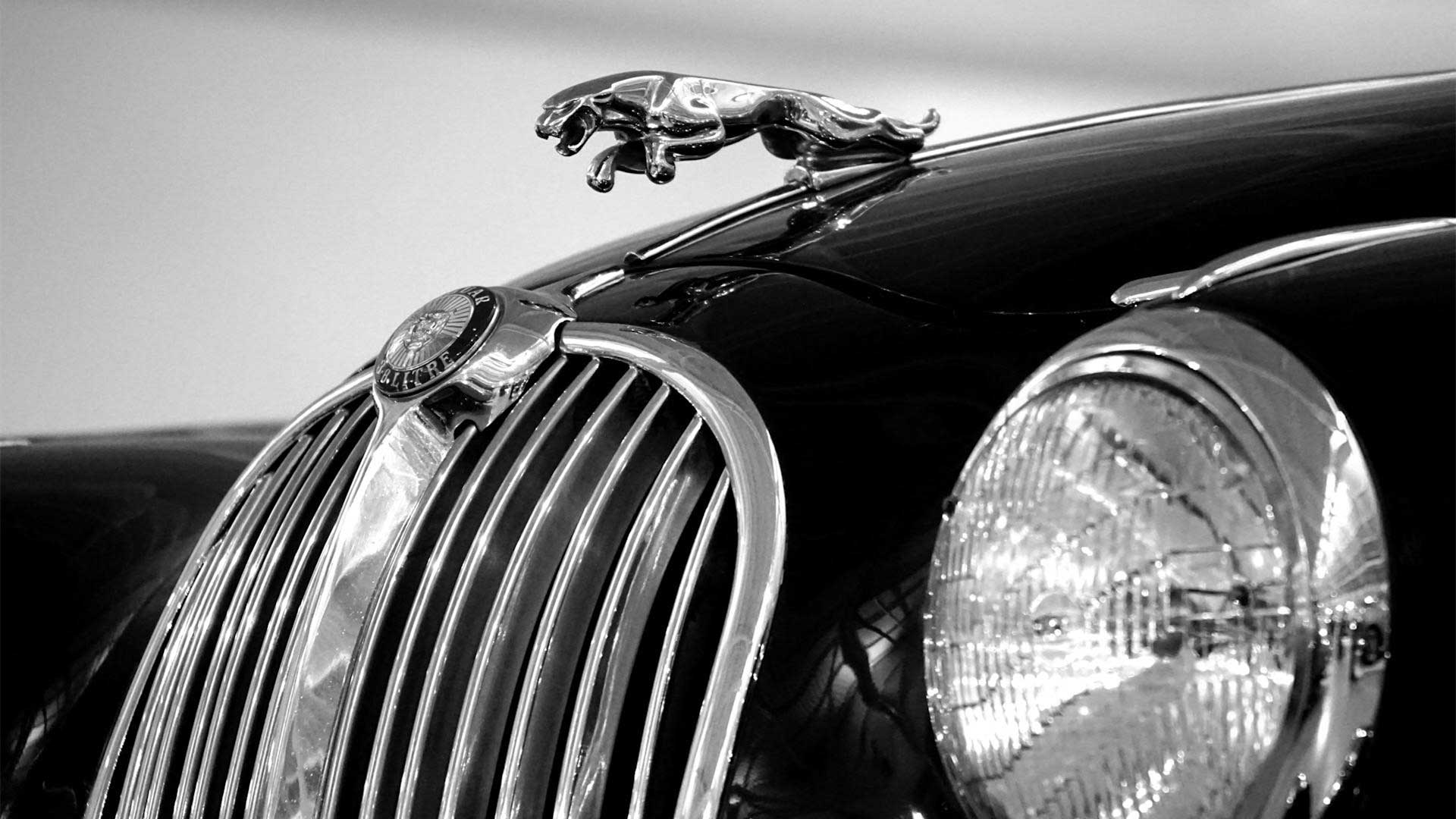 jaguar servicing ashford