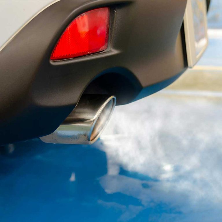 what is forced regeneration ashford